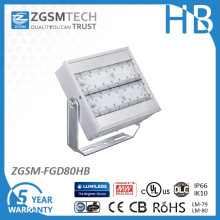 Accesorios ligeros de inundación LED 80W con Ce RoHS UL CB AAS certificado